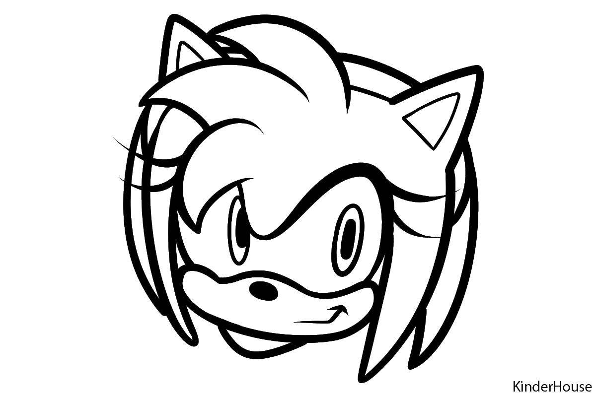 Coloring The characters of sonic x. Category coloring pages sonic. Tags:  cartoons, sonic x.