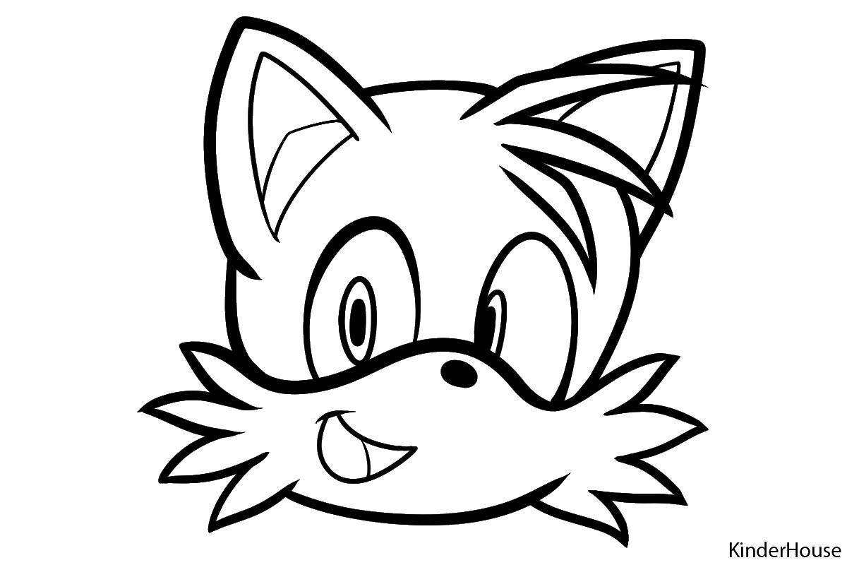 Coloring The characters of sonic x. Category coloring pages sonic. Tags:  Sonic cartoons, characters.