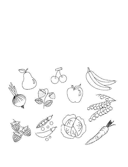 Coloring Paint the vegetables, fruits and berries. Category The food. Tags:  Vegetables, fruits, berries.