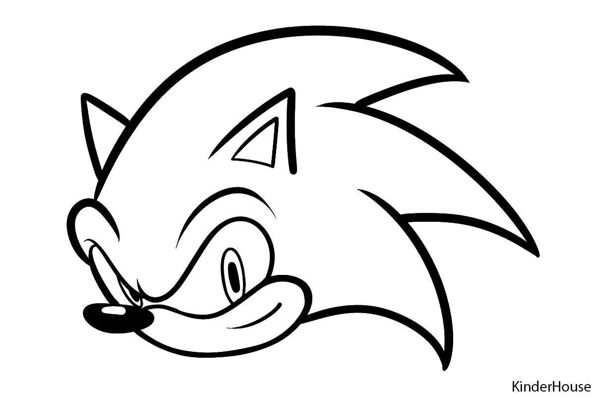 Coloring Sonic. Category coloring pages sonic. Tags:  cartoon sonic.