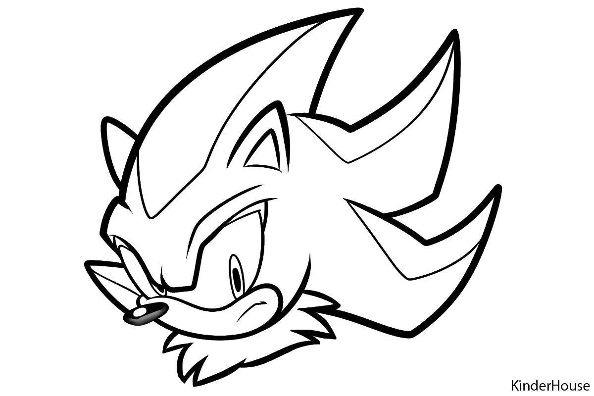 Coloring Sonic. Category coloring pages sonic. Tags:  coloring pages sonic, sonic.