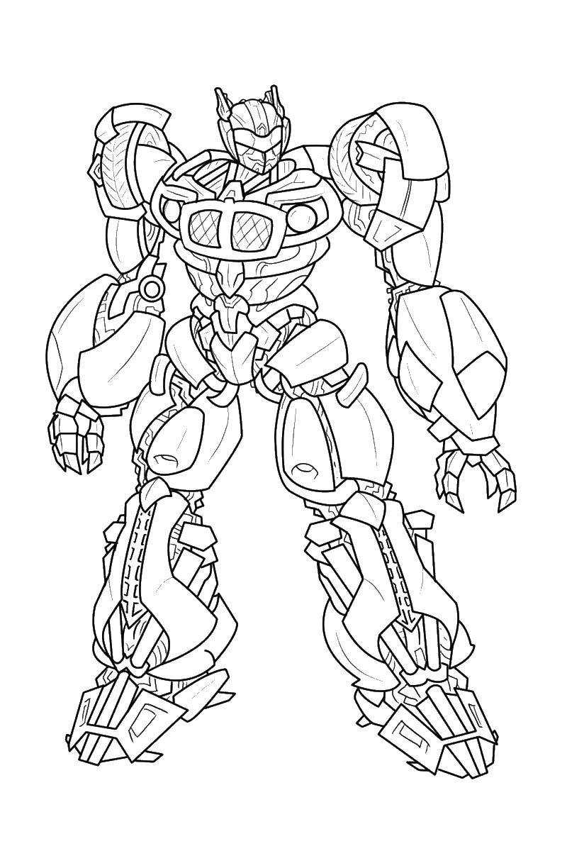 Coloring The Autobot guard. Category transformers. Tags:  Autobot, transformer.