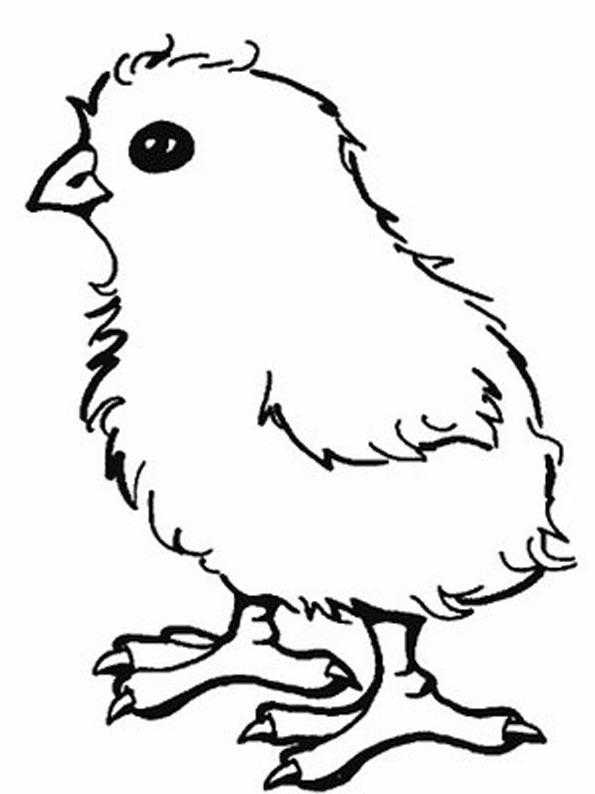 Название: Раскраска Рисунок цыпленка. Категория: домашние животные. Теги: цыпленок.
