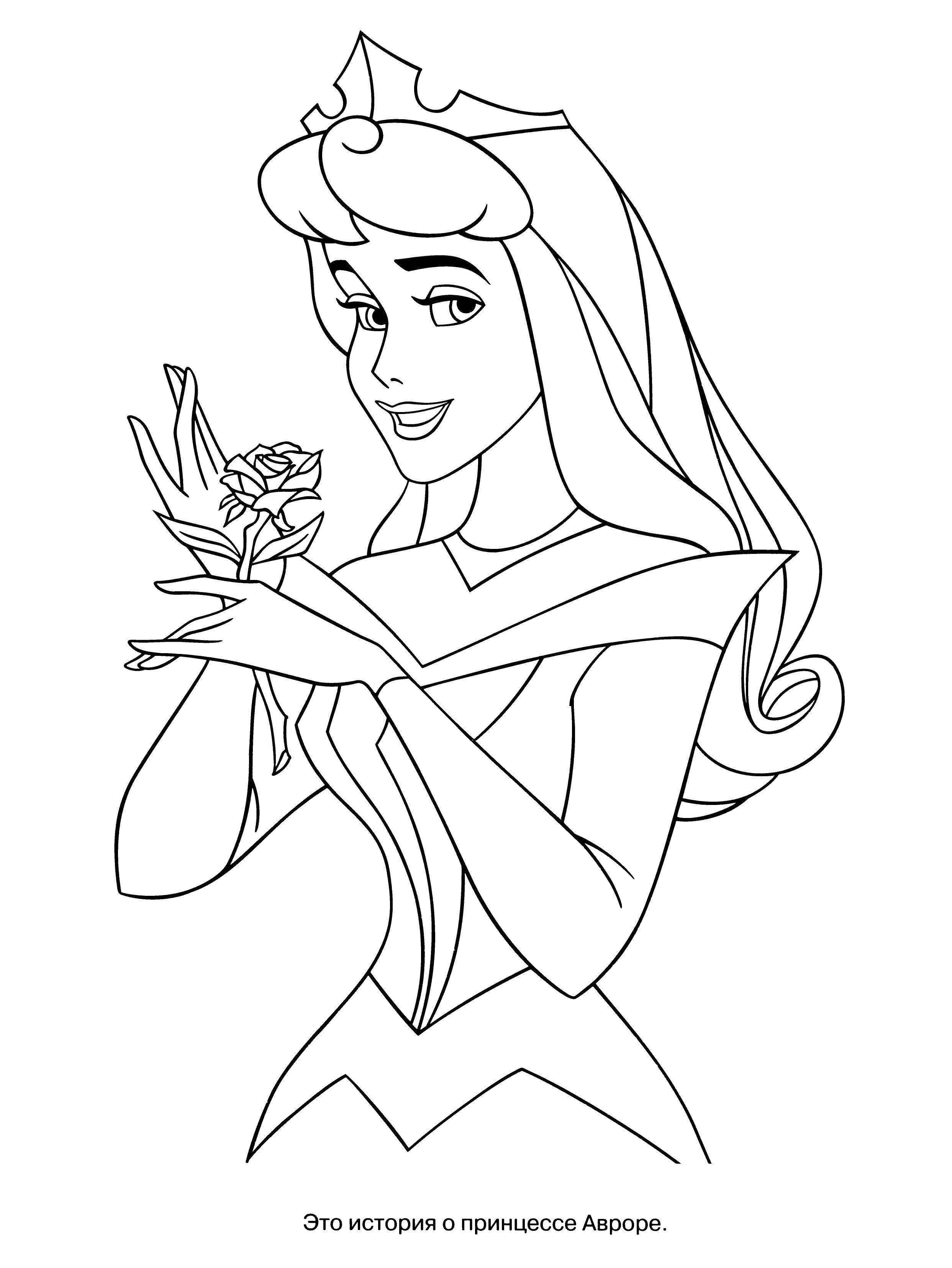 Coloring Aurora rose. Category cartoons. Tags:  Princess , Aurora, rose.
