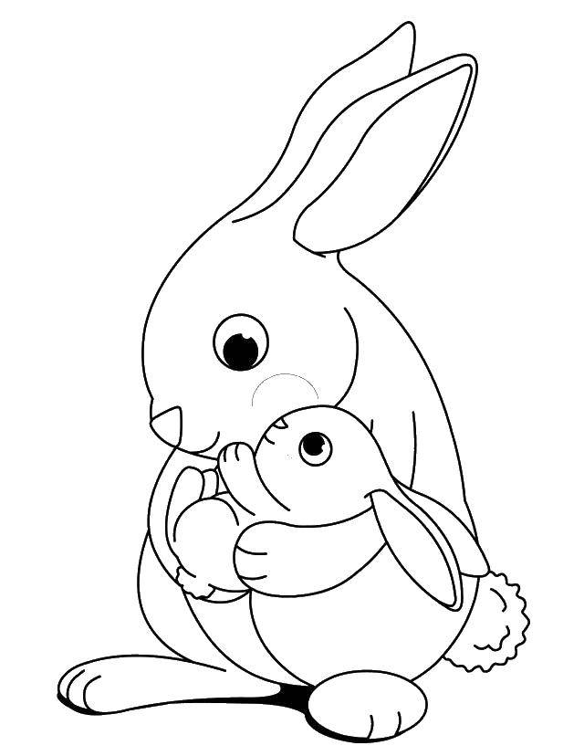 Название: Раскраска Мама держит своего малыша. Категория: Животные. Теги: Животные, зайчик.