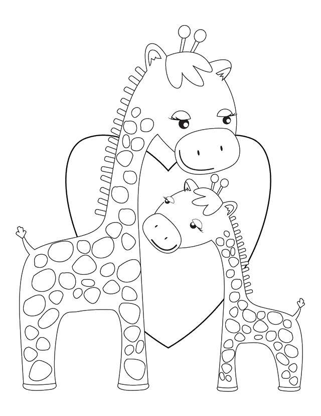 Название: Раскраска Мама жираф с детёнышем .. Категория: Животные. Теги: Животные, жираф.
