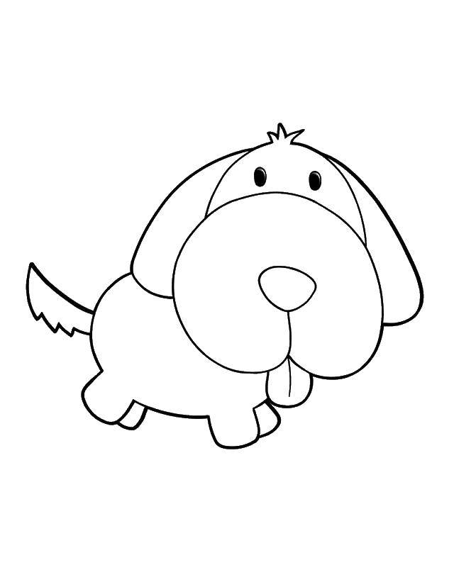 Coloring Cutie doggie. Category Animals. Tags:  Animals, dog.