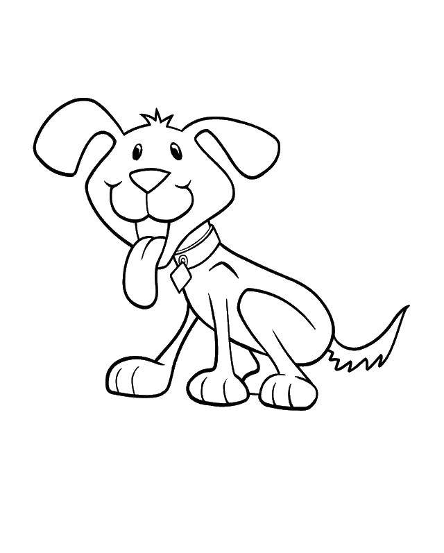 Coloring Puppy with tongue hanging out. Category Animals. Tags:  Animals, dog.
