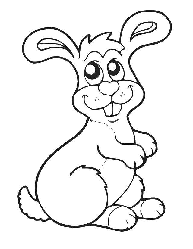 Coloring Rabbit cute. Category Animals. Tags:  Animals, Bunny.