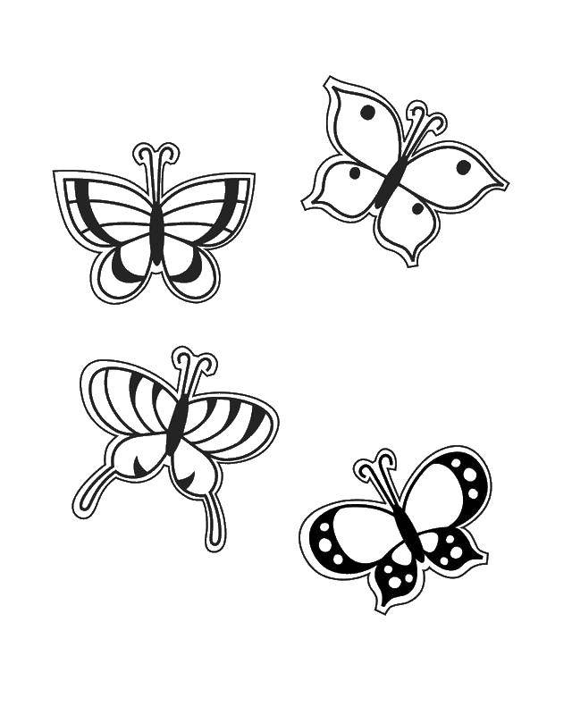 Название: Раскраска Волшебно красивые бабочки. Категория: бабочки. Теги: Бабочка.