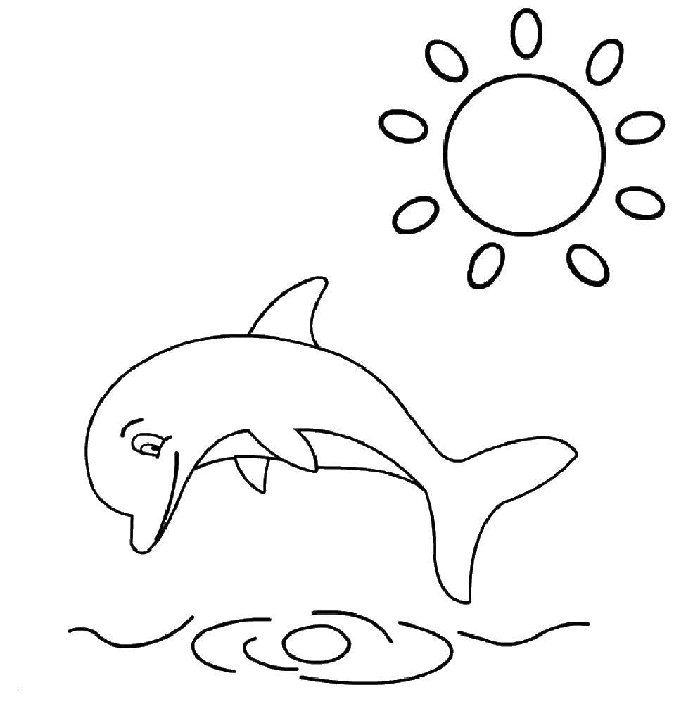 Трафарет дельфина для рисования