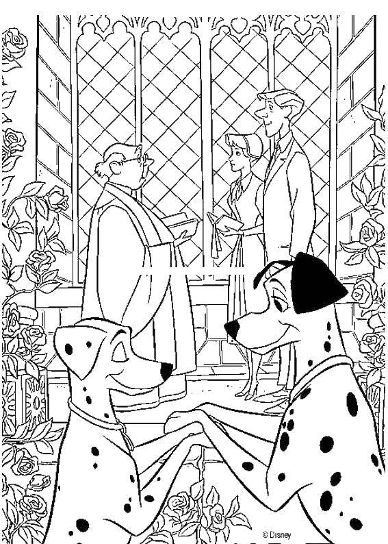 Coloring Wedding and Dalmatians. Category Wedding. Tags:  wedding, dogs, Dalmatians.
