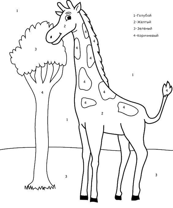 Розмальовки  Жираф і дерево. Завантажити розмальовку жираф, дерево, цифри.  Роздрукувати ,розфарбовування по номерах,