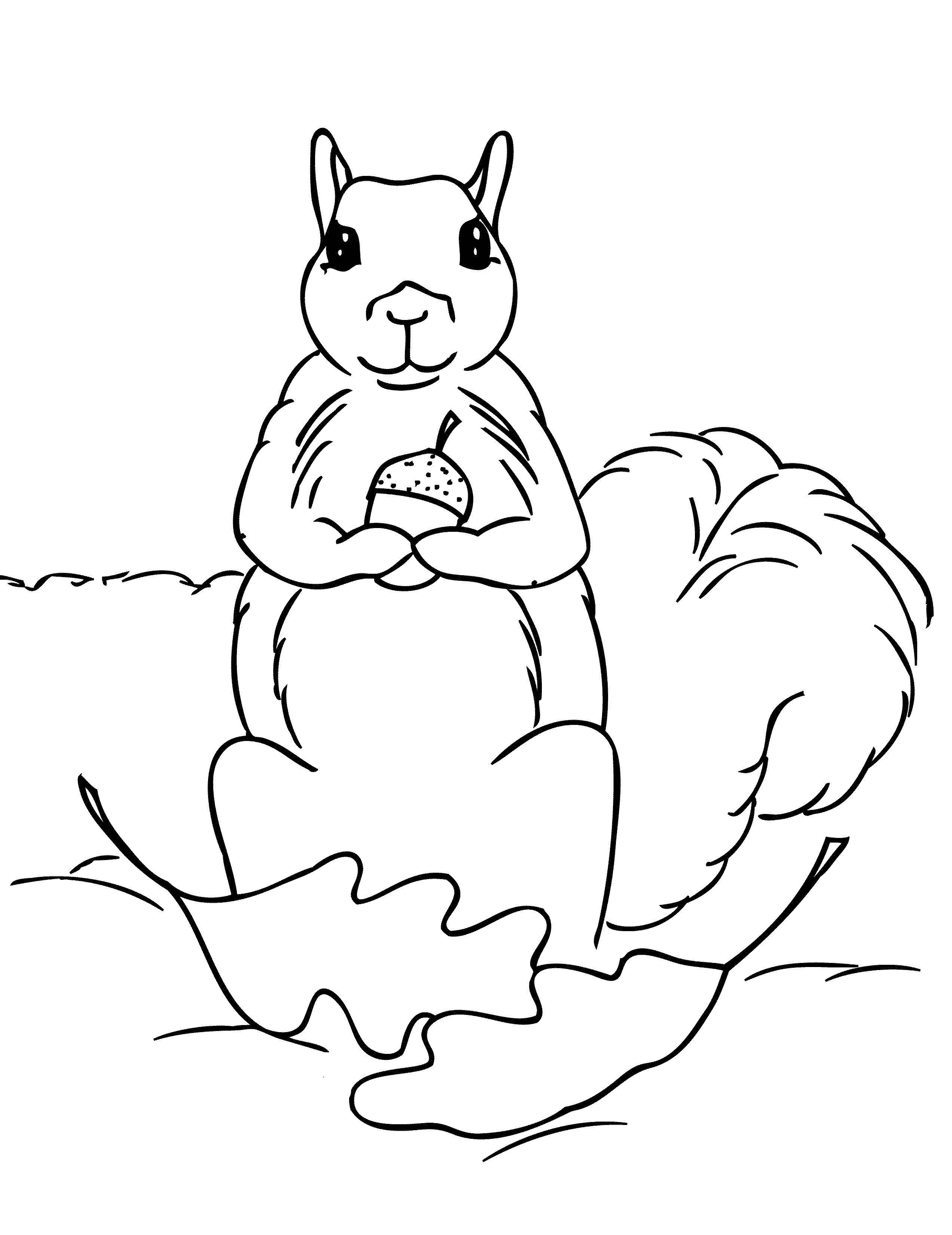 Online Coloring Pages Acorn Coloring Squirrel With Acorn Squirrel