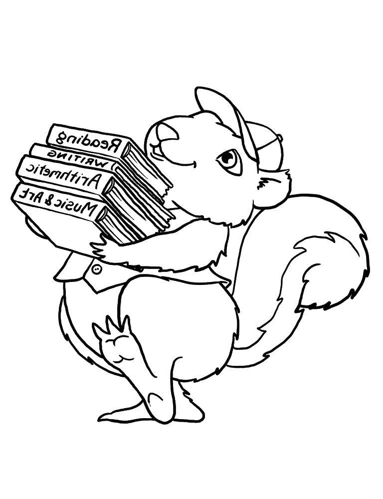 Coloring Squirrel books. Category squirrel. Tags:  animals, squirrel, squirrel.