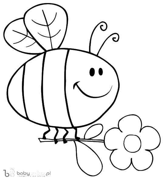 Coloring Bee on a flower. Category Insects. Tags:  bee, flower, wings.