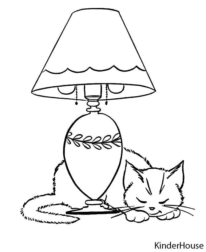 Розмальовки  Киця спить у лампи. Завантажити розмальовку тварини, кішка, кошеня.  Роздрукувати ,Кішка,