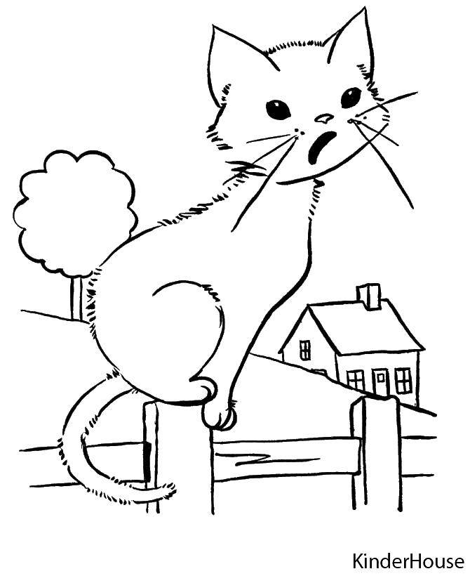 Название: Раскраска Кошечка сидит на заборе. Категория: Животные. Теги: животные, кошка, котенок.