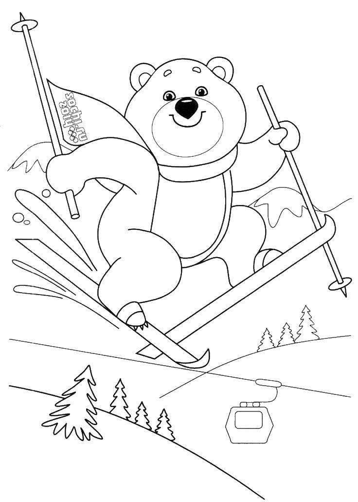 Название: Раскраска Олимпийский мишка на лыжах. Категория: олимпийские игры. Теги: мишка, игры, лыжи.