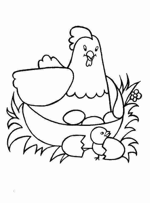 Название: Раскраска Рисунок курицы с яйцами. Категория: домашние животные. Теги: Курица.