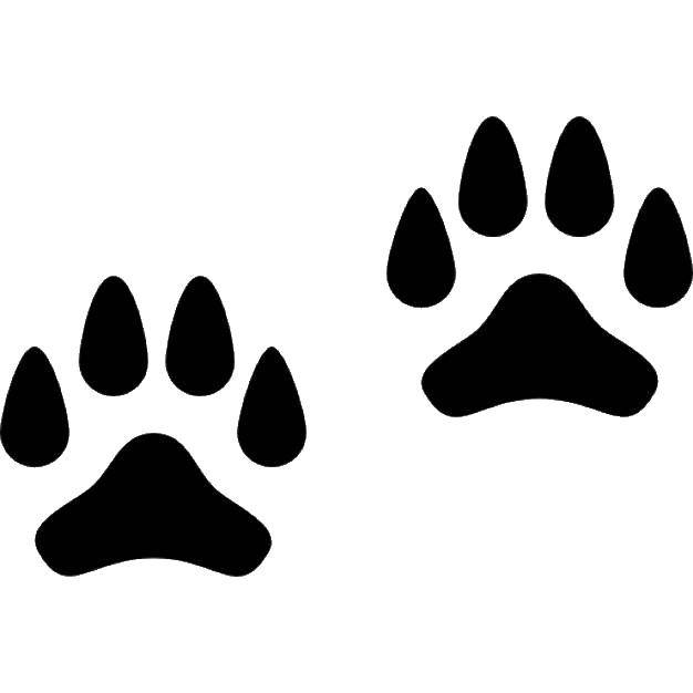 Coloring Dog prints. Category Animal tracks. Tags:  traces , dog, paws.