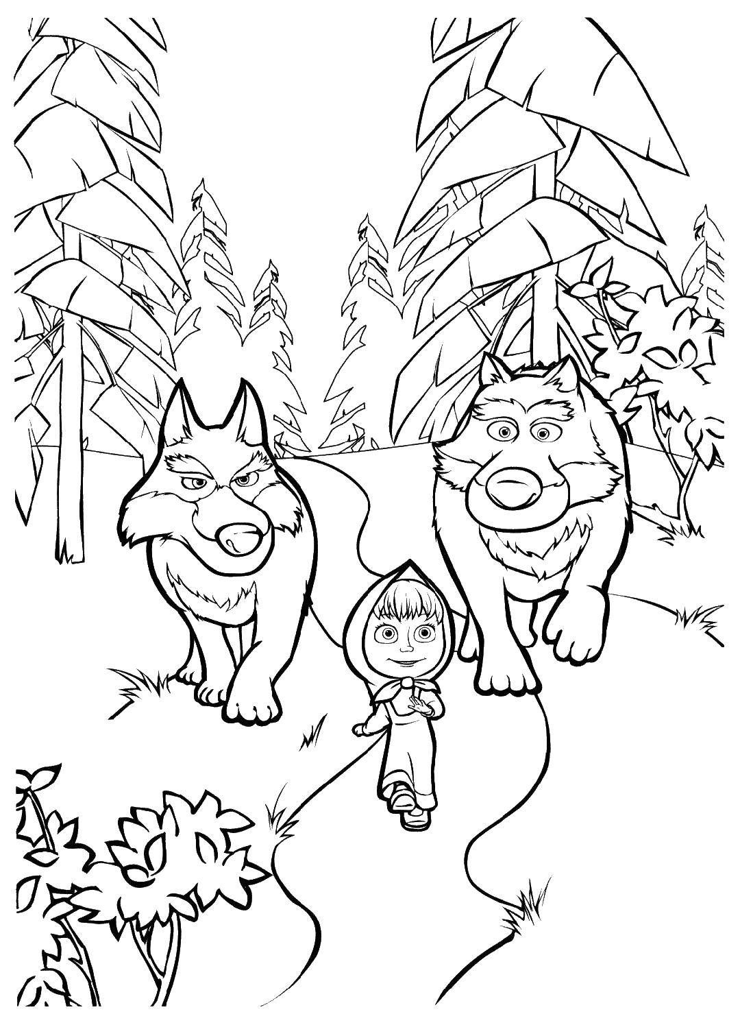 Coloring Wolves. Category Masha and the bear. Tags:  Masha and the bear, Masha, wolves, cartoons.