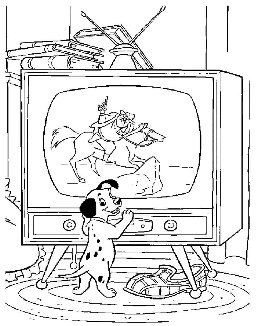 Название: Раскраска Далматинец пере телевизором. Категория: телевизор. Теги: телевизор, собака, тапок.
