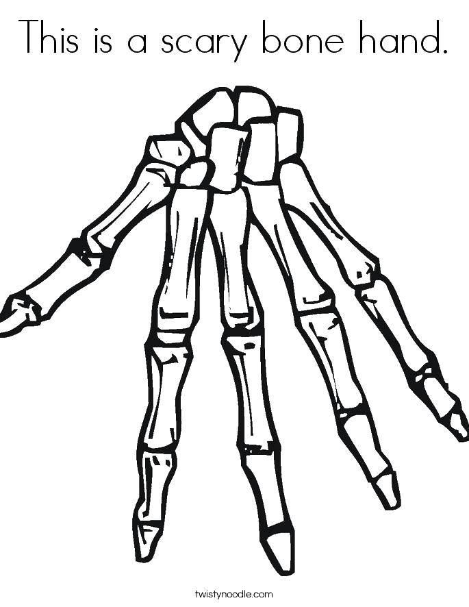 Coloring Bones of the hand. Category The contour of the hands and palms to cut. Tags:  brush, bone, phalanx.