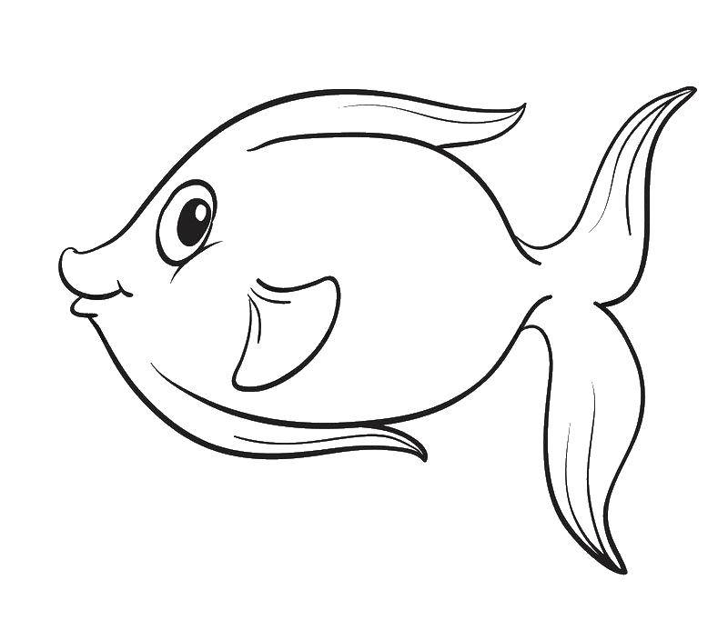Название: Раскраска Рыба с большим глазом. Категория: рыбы. Теги: рыба, плавник, глаз.