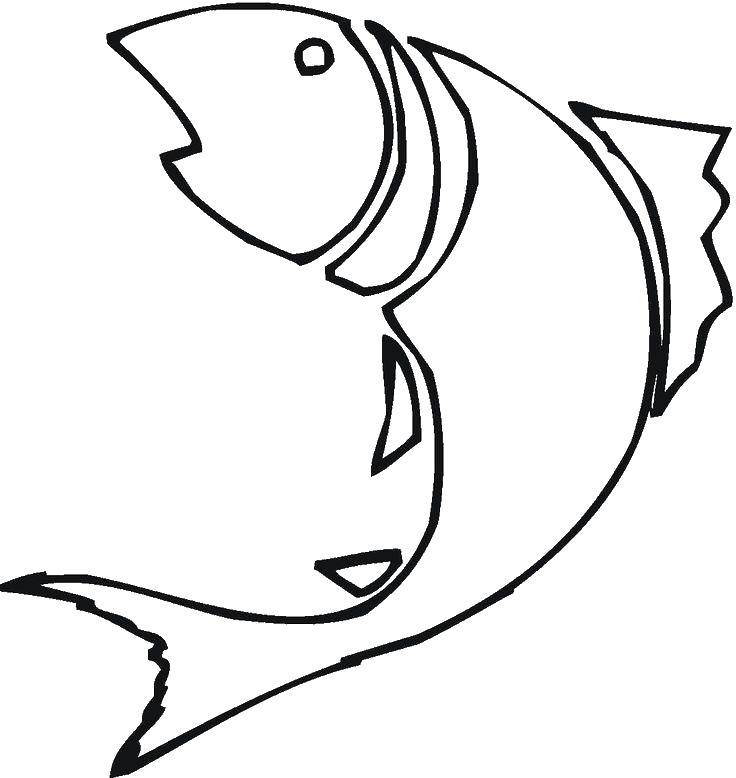 Название: Раскраска Рыба с плавником. Категория: рыбы. Теги: рыба, плавник, хвост.