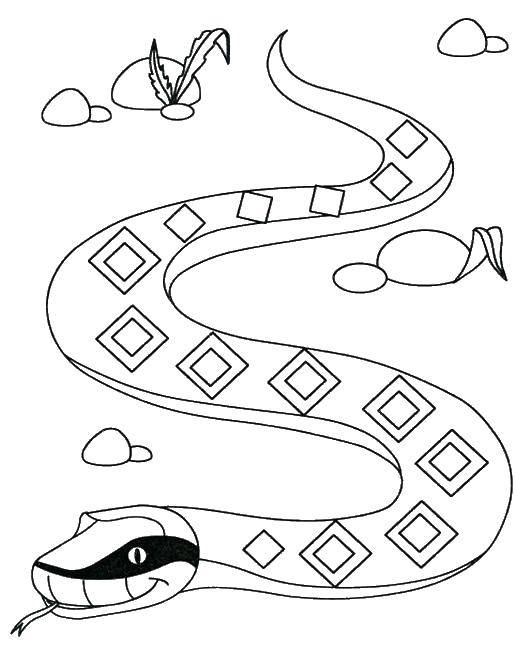 Coloring Snake and stones. Category snake. Tags:  snake, rocks, language.