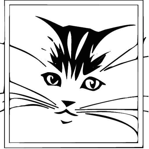 Название: Раскраска Эких головы кошки. Категория: Контур кошки для вырезания. Теги: контур, кошка, усы.