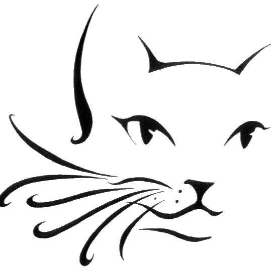 Coloring The outline of the cat. Category The contour of the cat to cut. Tags:  contour , cat, mustache.