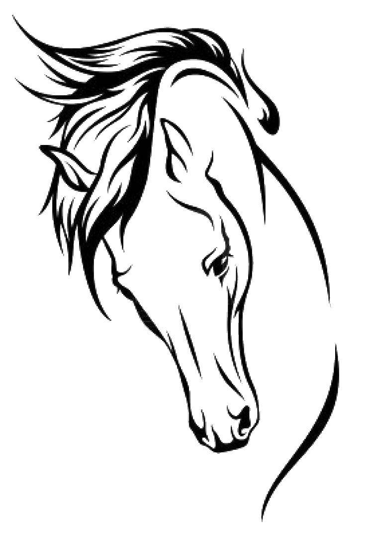 Название: Раскраска Контуры лошади. Категория: лошади. Теги: контуры, лошади.