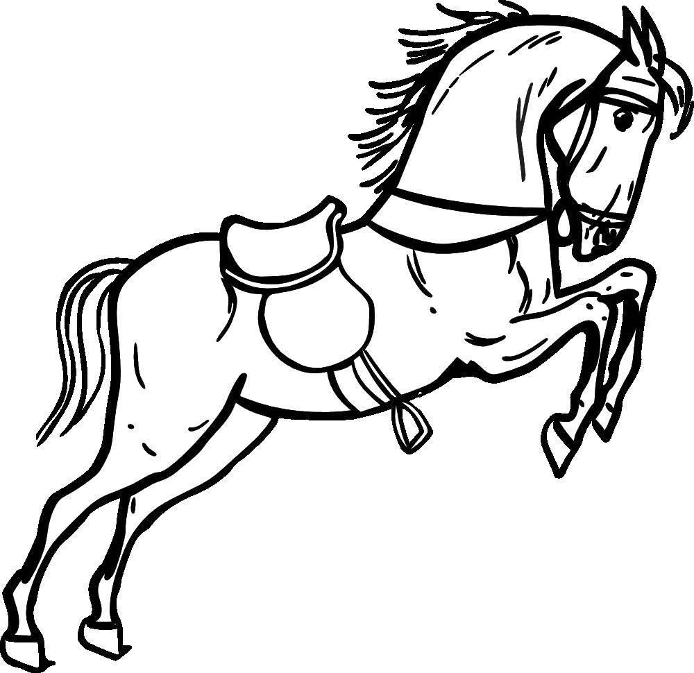 Название: Раскраска Лошадь с седлом. Категория: лошади. Теги: лошади, конь, седло.