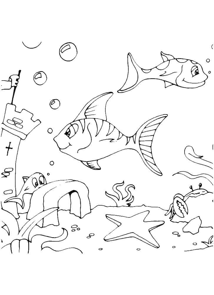 Coloring Fish on the seabed. Category clothing. Tags:  fish, water, sea bottom, sea animals.