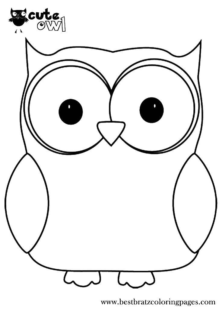Coloring Owl big eyes. Category birds. Tags:  owl, bird, eyes.