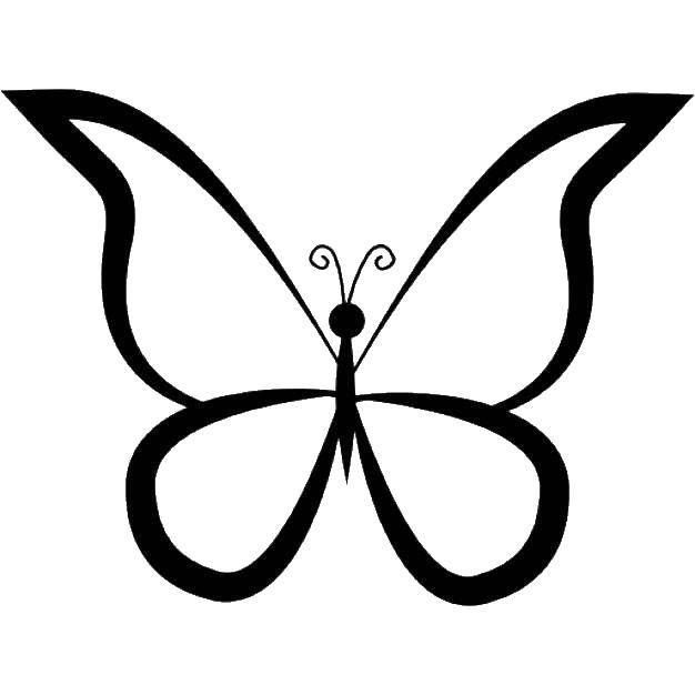 Розмальовки  Метелик з красивими крильцями. Завантажити розмальовку метелики, комахи, крила.  Роздрукувати ,метелики,
