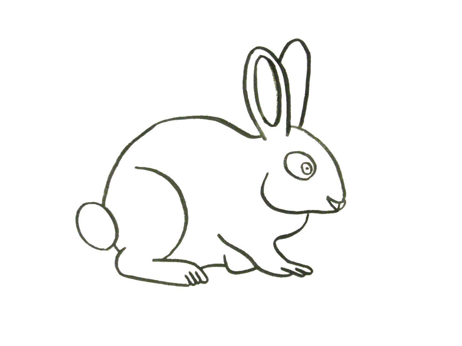 Название: Раскраска Большеглазый зайка. Категория: Животные. Теги: животные, заяц, зайка.
