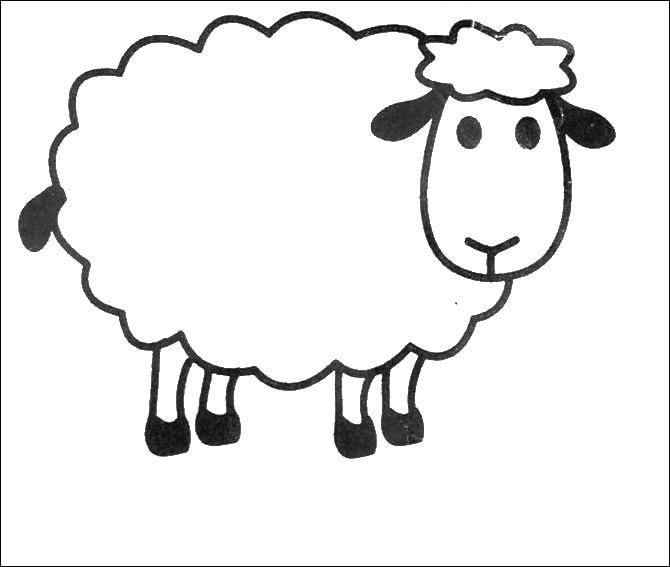 Название: Раскраска Граница овечки. Категория: Контур овечки для вырезания. Теги: контур, овечка.