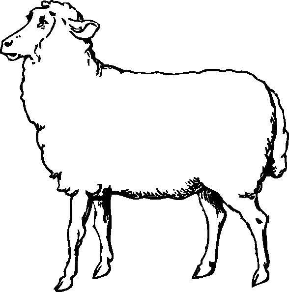 Название: Раскраска Контур овечки. Категория: Контур овечки для вырезания. Теги: контру, овечка.