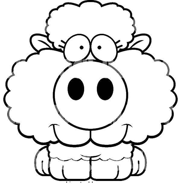 Название: Раскраска Овечка. Категория: Животные. Теги: животные, овца, овечка, пух.