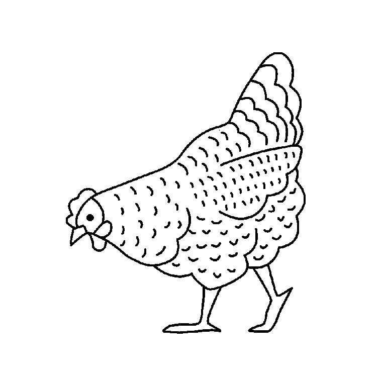 Название: Раскраска Рисунок курицы. Категория: домашние животные. Теги: Курица.
