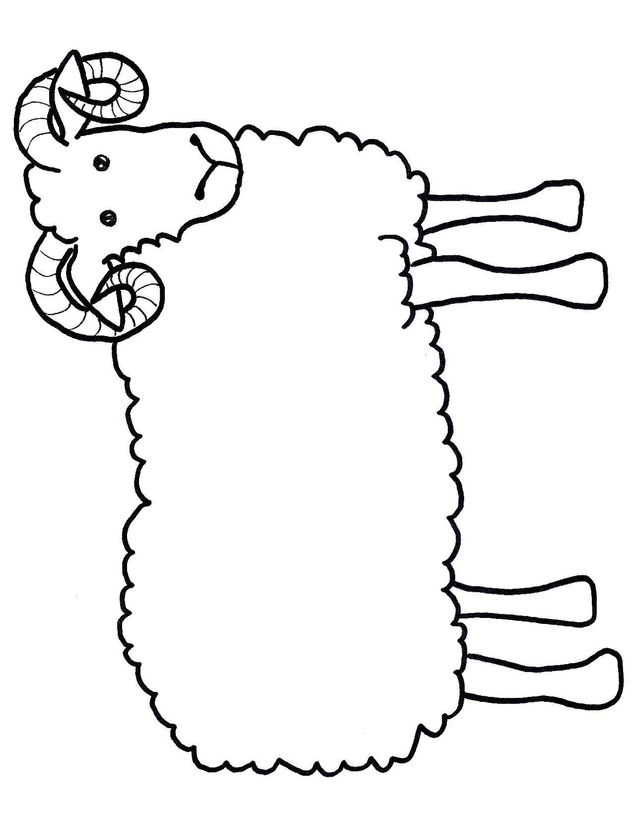 Название: Раскраска Рогатый баран. Категория: Животные. Теги: Животные, овечка.