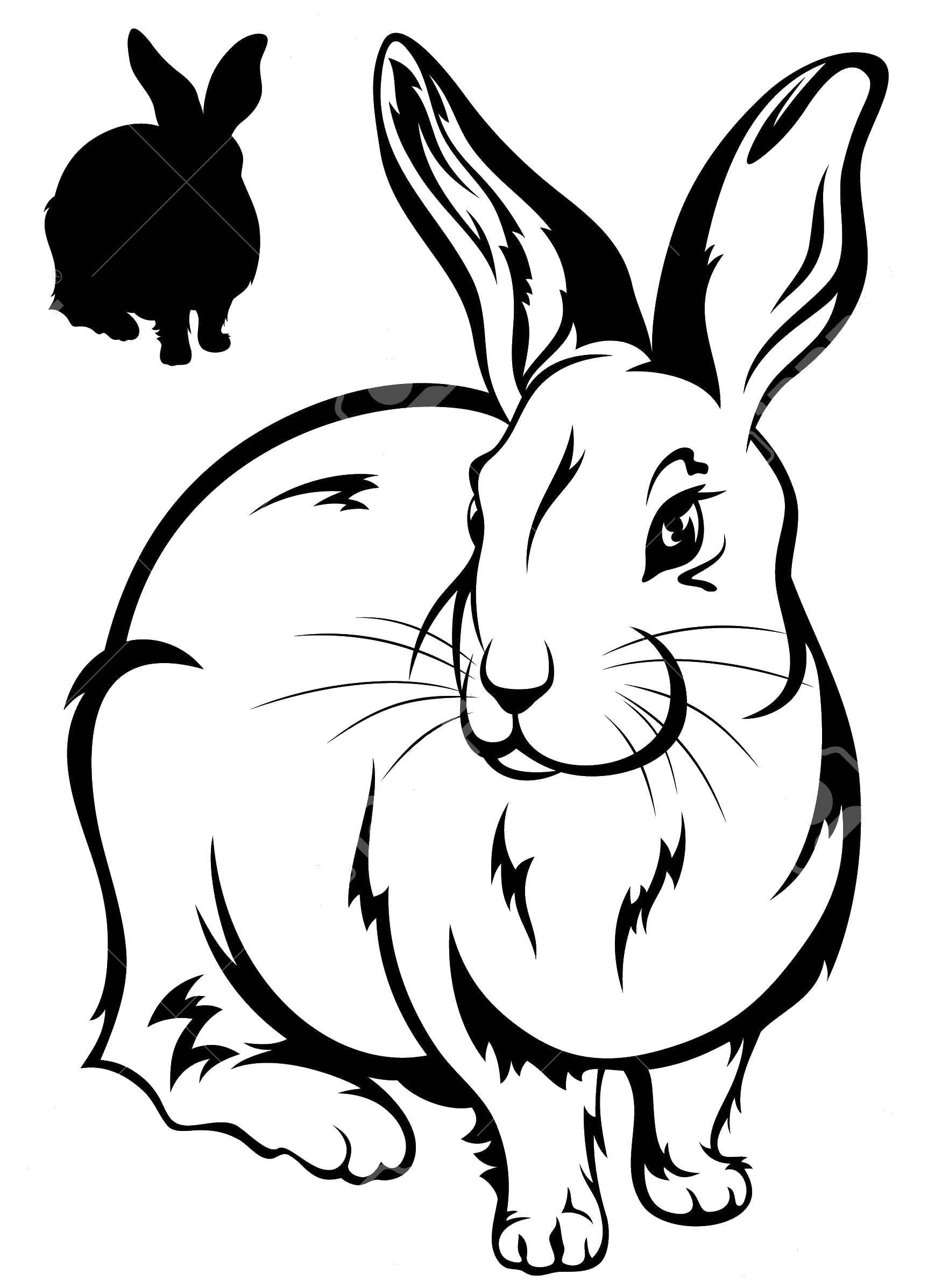Название: Раскраска Вырезаем кролика. Категория: Контур зайца для вырезания. Теги: Животные, кролик.