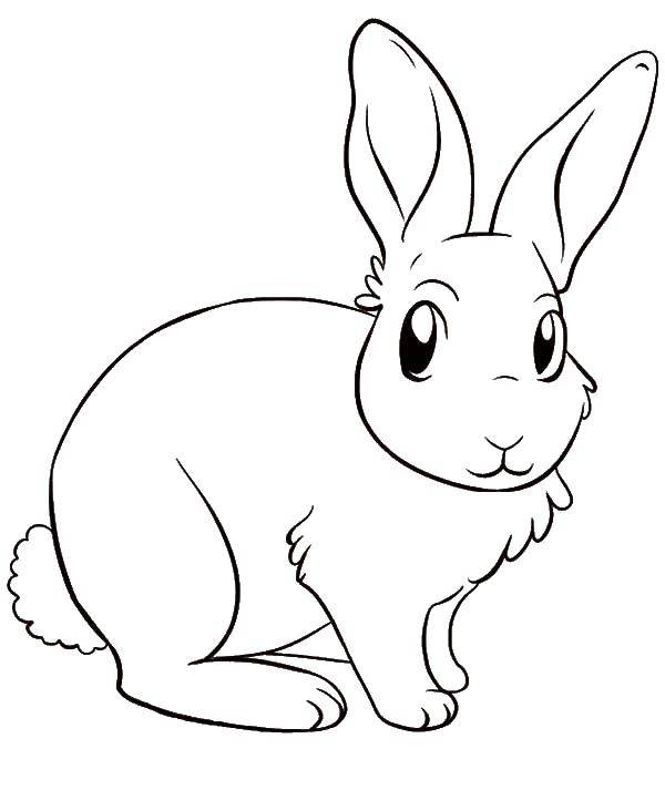 Coloring Bunny. Category The contour of the hare to cut. Tags:  contours, face, rabbit, Bunny.