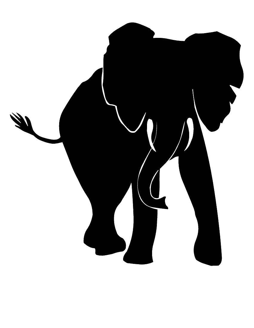 Coloring Black elephant. Category the contours of the elephant to cut. Tags:  Elephant.
