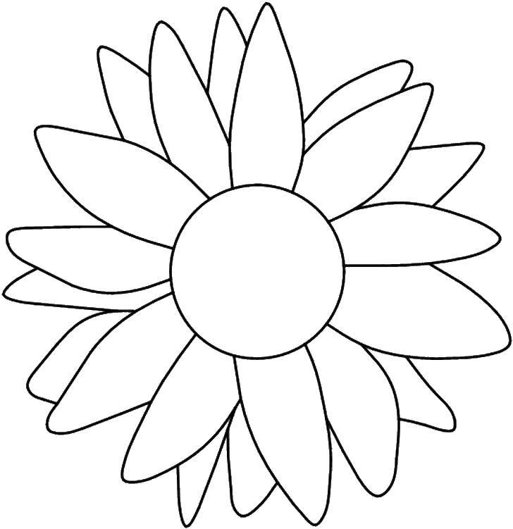 Coloring Border flower. Category The contours of the flower to cut. Tags:  contour, flowers, petals.