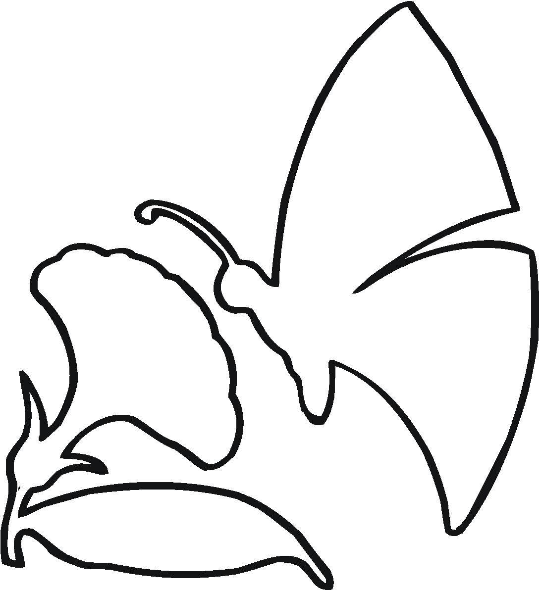 Coloring The outline of the butterfly and flower. Category The contours of the flower to cut. Tags:  outline , butterfly, flower.
