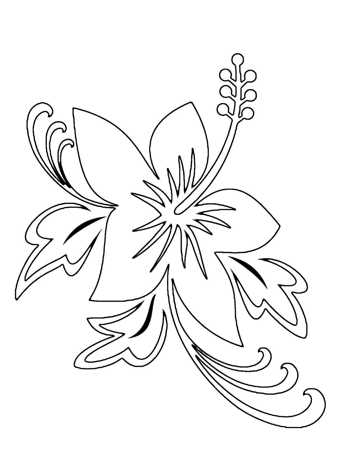 Название: Раскраска Контур орхидеи. Категория: Контуры цветка для вырезания. Теги: контур, цветы, лепестки.